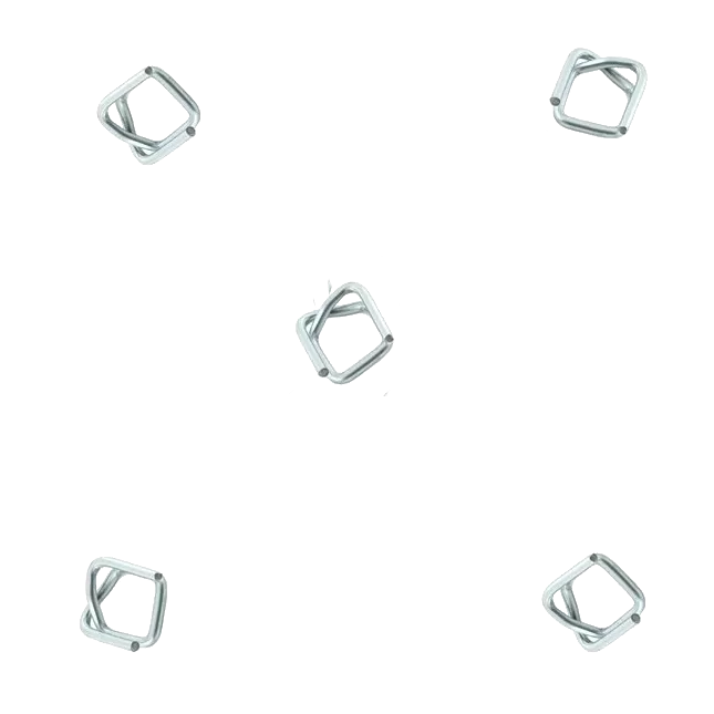 Buckle Clip